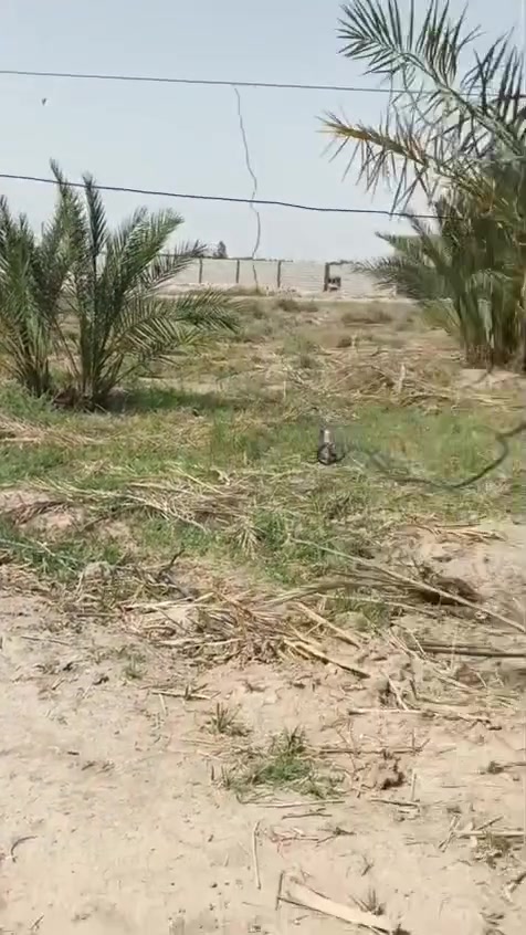 يالله سلام عليكم بستان مع بيت مرتب خمسه دوونم. يحتوي علا 40 نخله حمال ومشروع ماي سقي وساله نهايت شارع السفينه  قرب مدرسه المبدأ 
الاستفسار ***********
