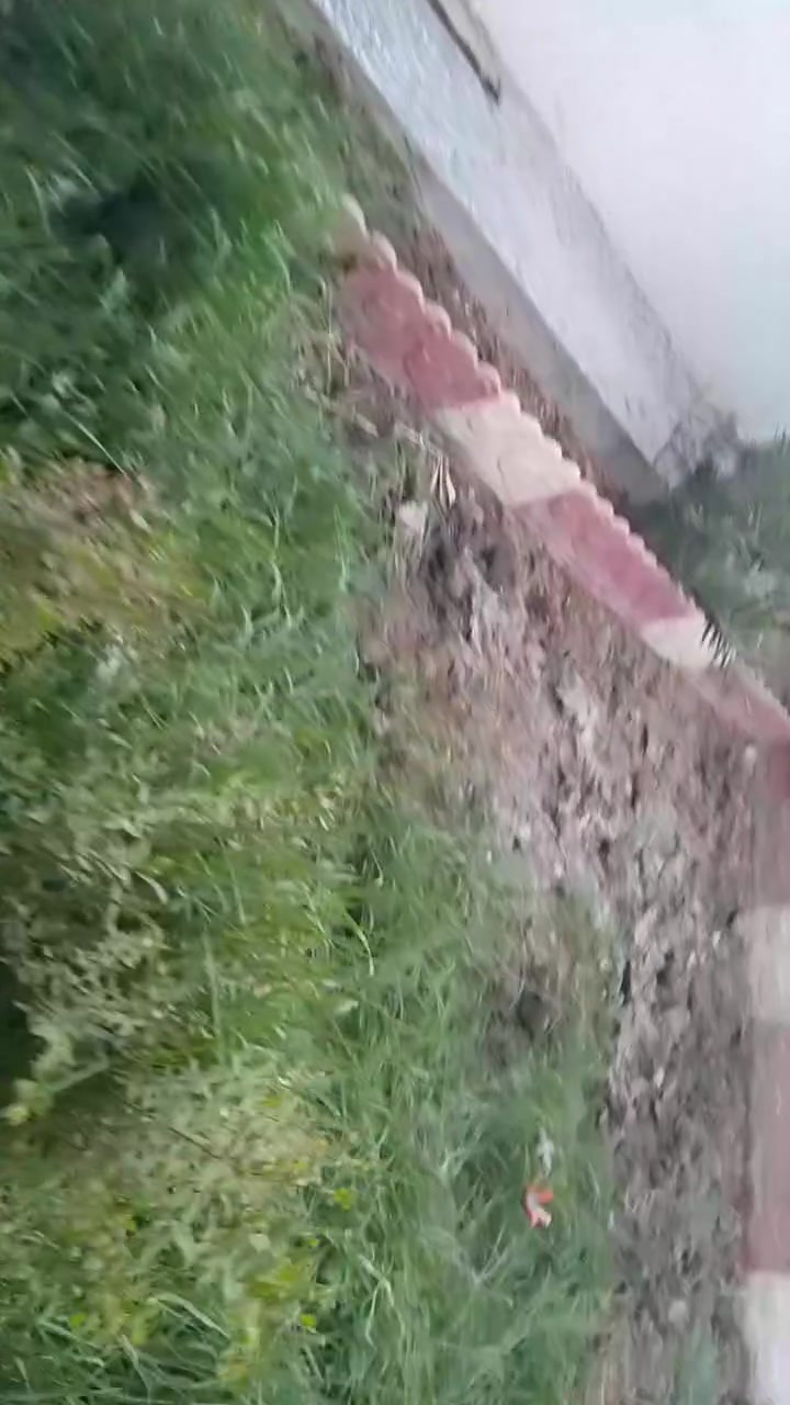 شغل تنظيف حدائق حسب الطلب 
عندك حديقه بيها انقاذ وتحتاج تنظفها 
عندك حديقه وبيها حلفى وقصب ومحتار بيهن 
يمنا الحل نعالجهن بالمبيدات 
عمل اليوم 
تواصل معنا عبر الهاتف او واتساب 
***********
او عبر الخاص
