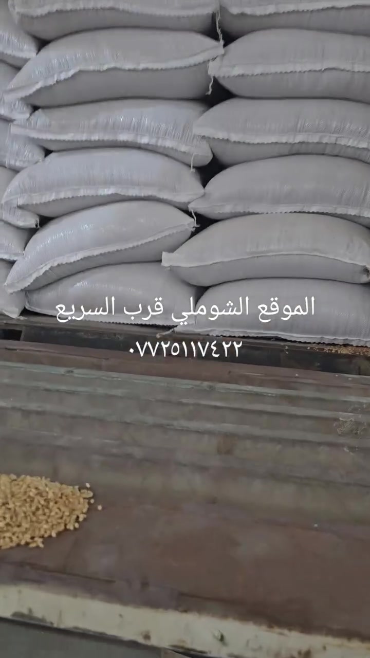 يتوفر الدينا شعير عراقي محلي وشعير مستورد روسي وجميع الاسمده الموقع الشوملي قرب السريع
***********
