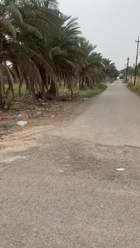 هور رجب • دونم • واجهة ٢٥م