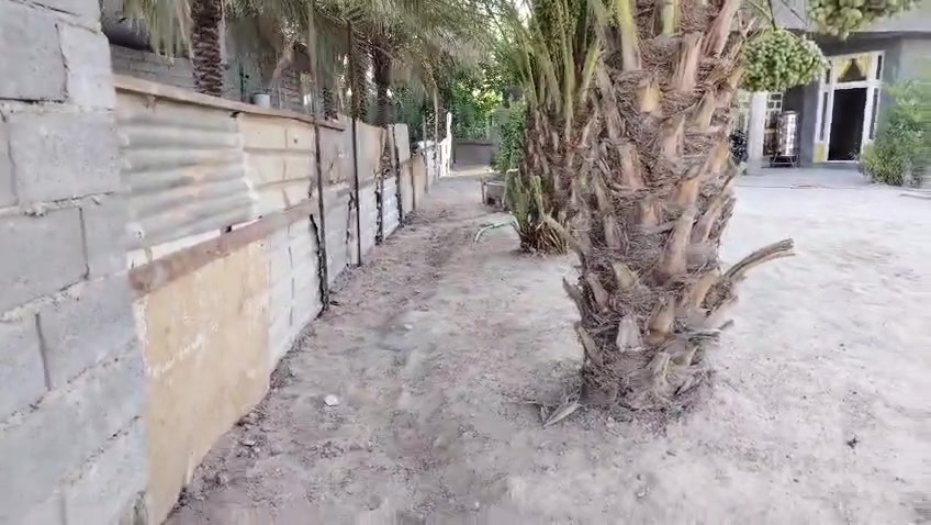 بيت للبيع مساحه 1000متر طابو زراعي سند25 غرفتين صاله استقبال مطبخ حمامات  بيت كامل سعره 55مليون الشهابي الثالثه اطراف الفلوجه
***********
***********
