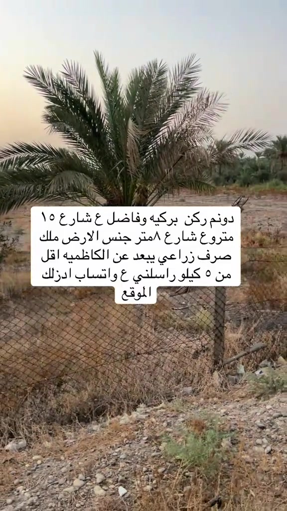 ##*********** #العراق_السعوديه_الاردن_الخليج #شعب_الصيني_ماله_حل😂😂 #عقارات_بغداد #دبي 

نص مكتوب في الصور:
- دونم ركن بركيه وفاضل ع شارع ١٥ متروع شارع ٨متر جنس الارض ملك صرف زراعي يبعد عن الكاظميه اقل من ٥ كيلو راسلني ع واتساب ادزلك الموقع