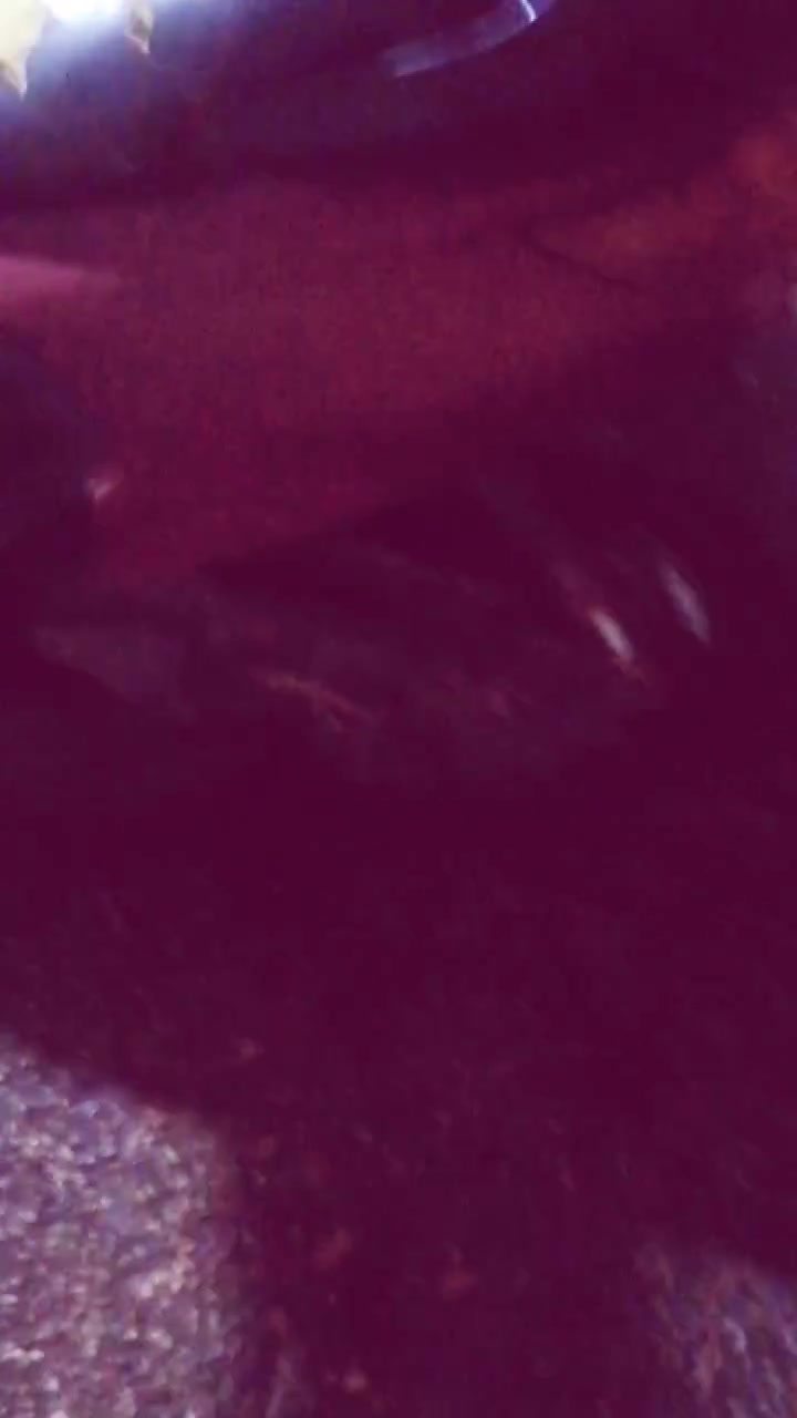 فراشه • نظيفه • معدل