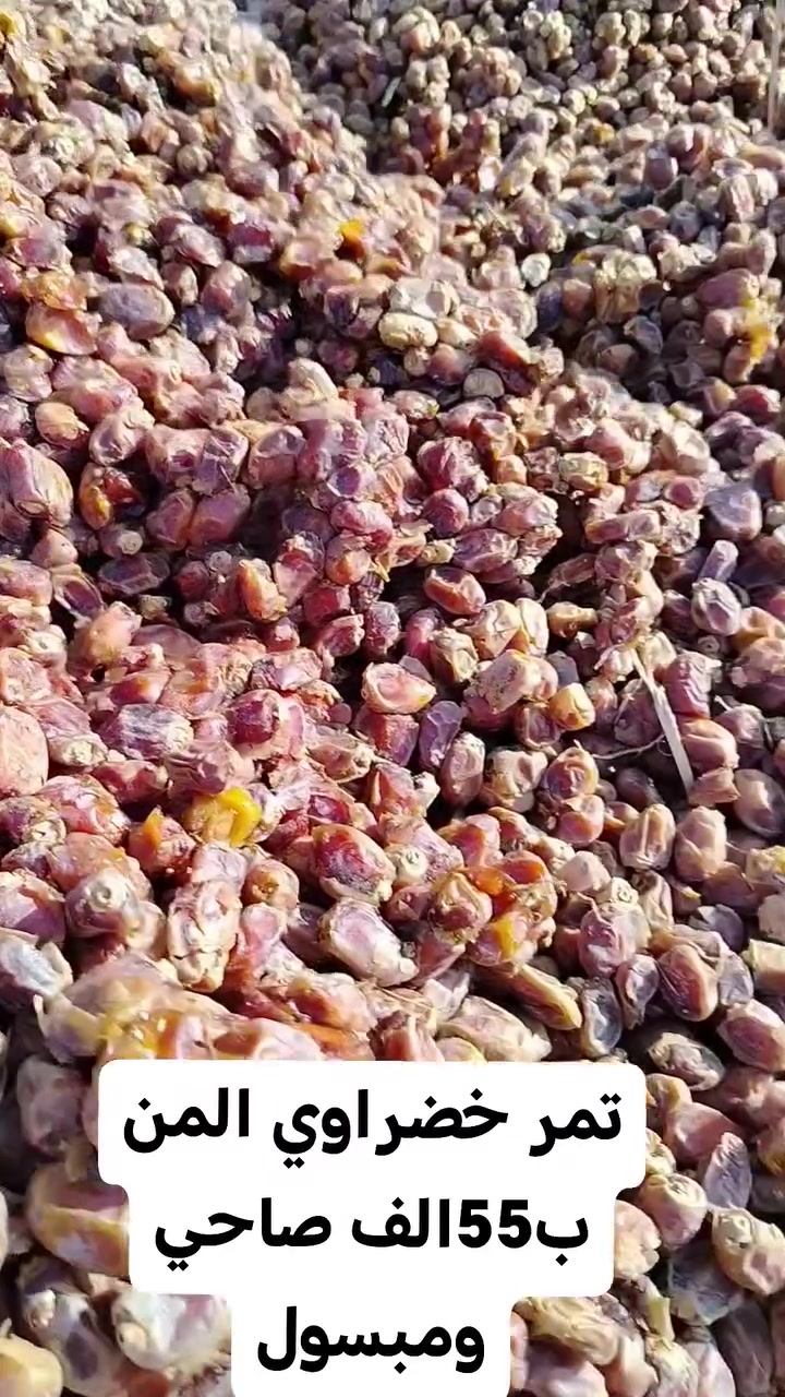 تمر خضراوي سعر المن 55الف صاحي ومبسول والسعر جدآ رخيص تجي وتشوف بعين ناحية الفضليه ***********
