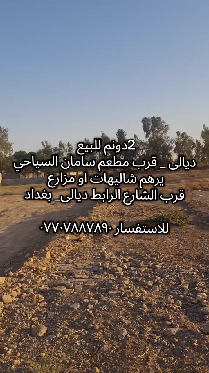 لا توجد تفاصيل

