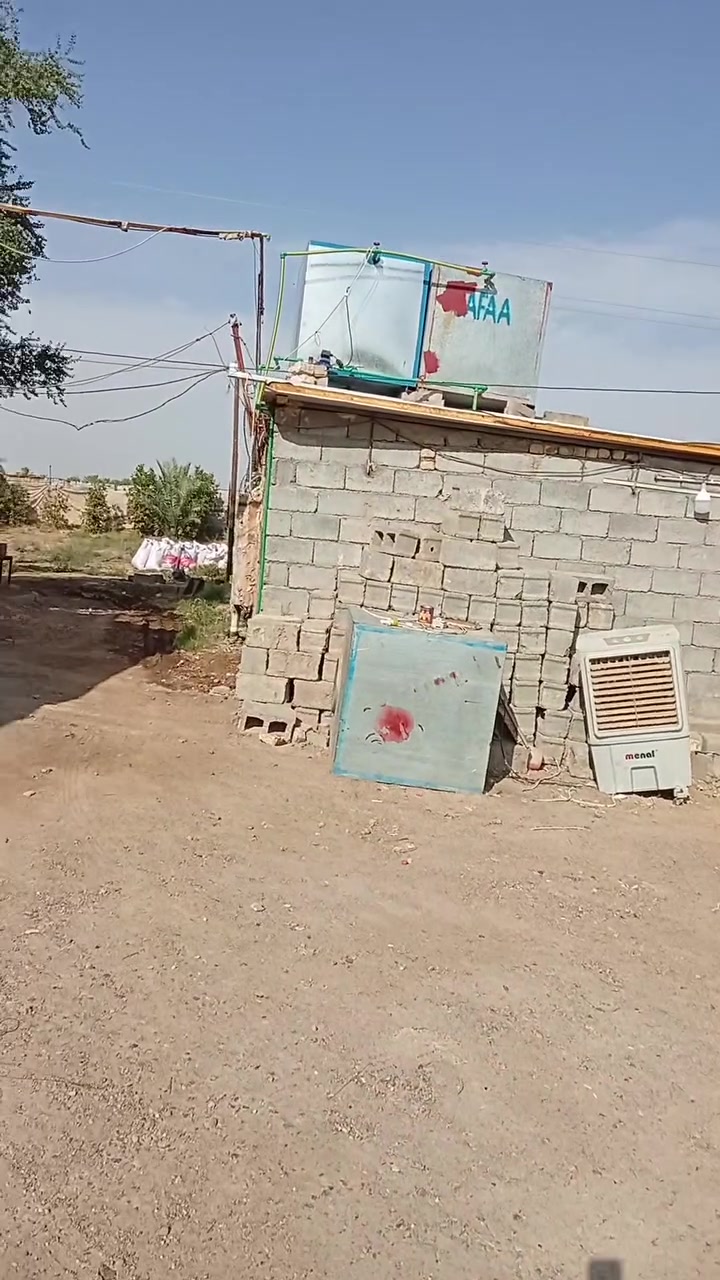 حقل دجاج • الخضراء • ٣٣×٨