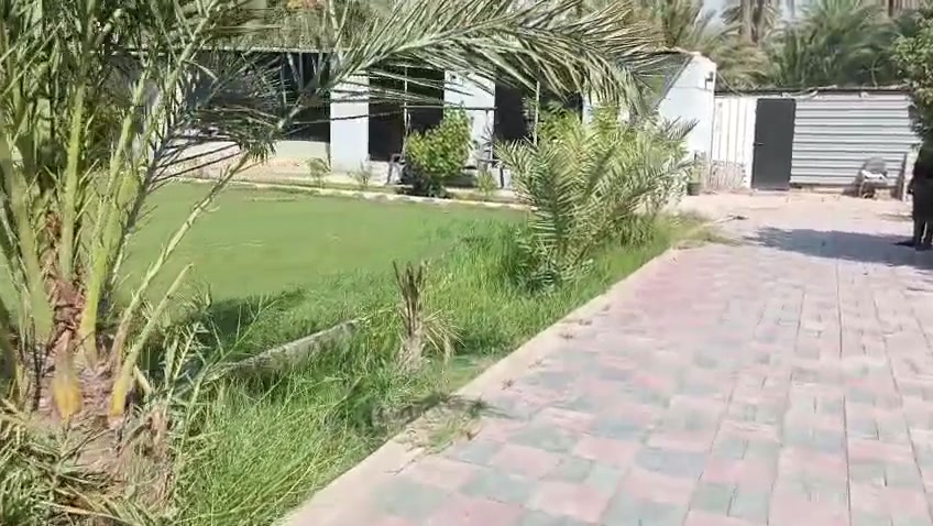شاليه للبيع منطقه الكم  كوفه البراكيه المساحه 1200 متر منطقه الكم
تحتوي على غرفه وصاله ومطبخ وصحيات ومسبح طابو 25 
للاستفسار الاتصال على الارقام التاليه 
***********
***********
