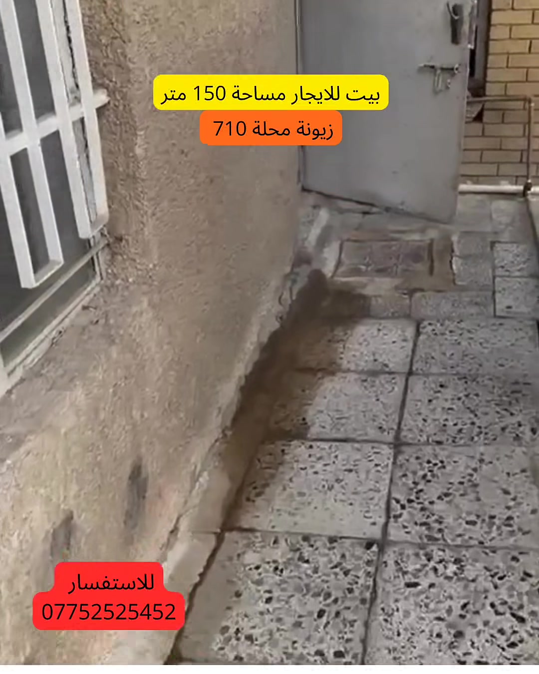 دار للايجار في منطقة زيونة 
محلة 710 المساحة 150 يحتوي على مدخلين مطبخ معزول 
كراج وحديقة وغرف نوم عدد 2 وخدمات 
للاستفسار مراجعة مكتبنا الكائن في زيونه شارع الربيعي 
او الاتصال 
***********
 #مكتب_موشور
