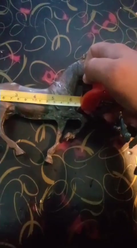 لا توجد تفاصيل
