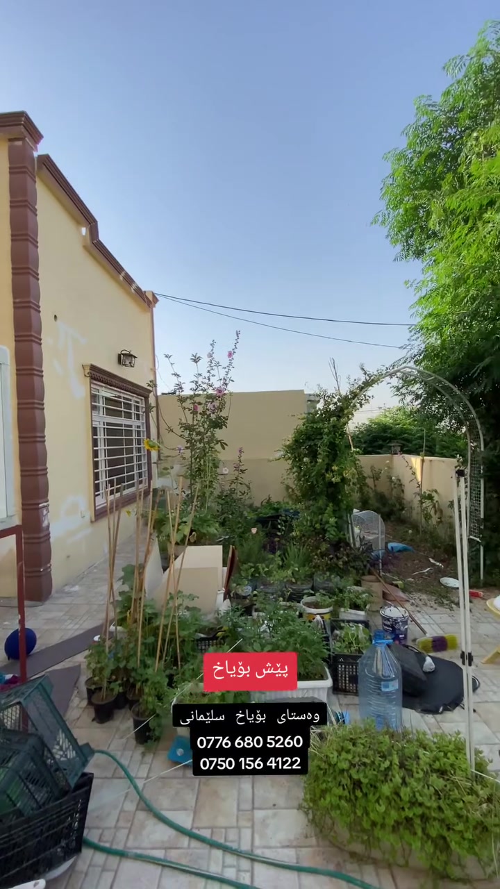 ‎وه ستای بۆیاخ سلێمانی

‎ئامادەین بۆ بۆیاخ کردنی ماڵەکانتان بە جوانترین شێوازی سەردەمیانە .

‎بۆ پەیوەندی  ☎️    ***********

                    ☎️   *********** 

‎(بۆیاخی گەچ ، مەغریبی ، لەبغ ، ئەسترۆپۆل ،کەنتۆر ،کەوانتەر. )
