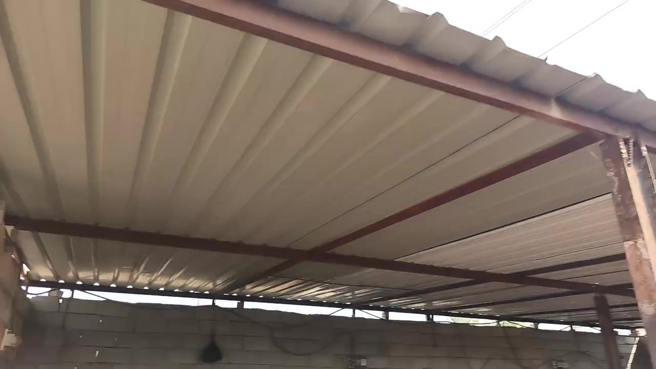 كوفه • عماريه ١١×٦ • جينكو جديد