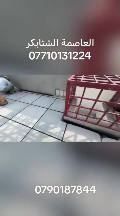 بغداد • مقاولات • بناء