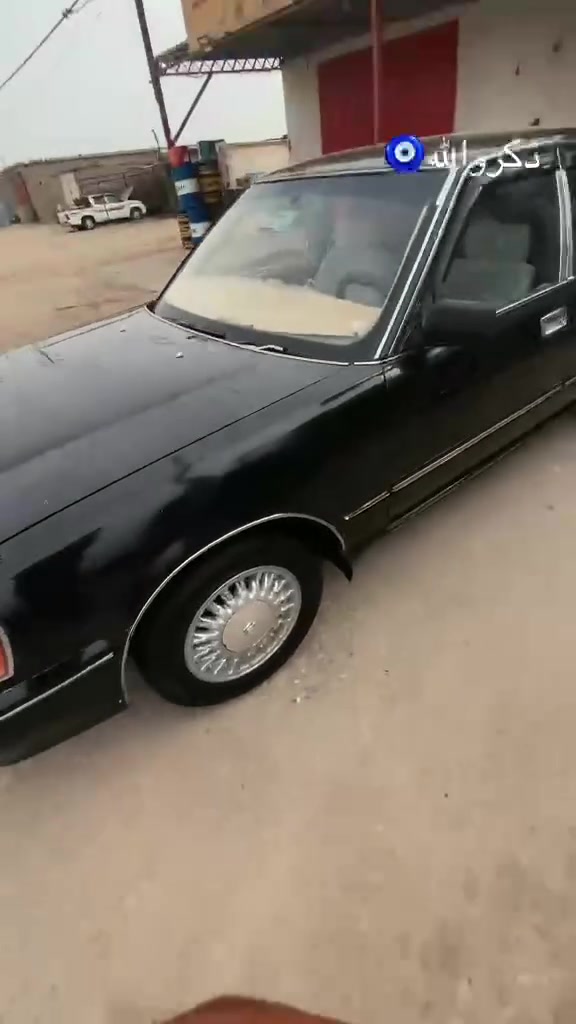 اسود • ٢.٥ • بصرة