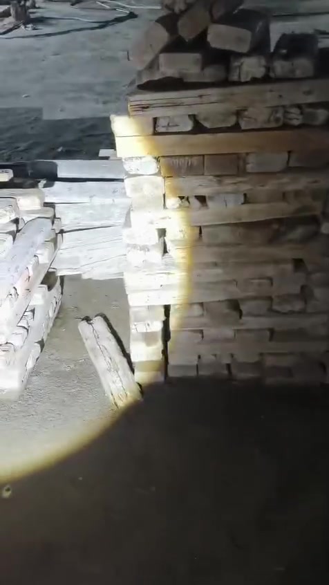 عصايب • ٧٠٣ قطعة • بابل