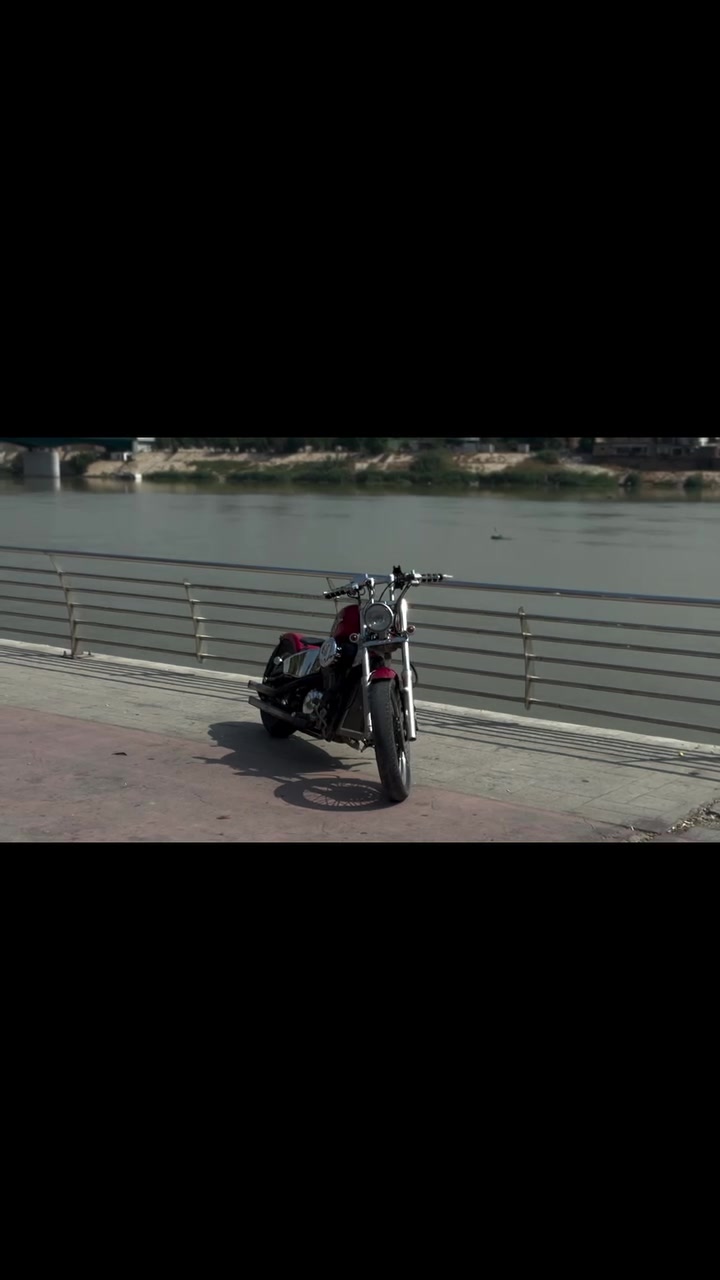 هارلي • كوستم • ببر