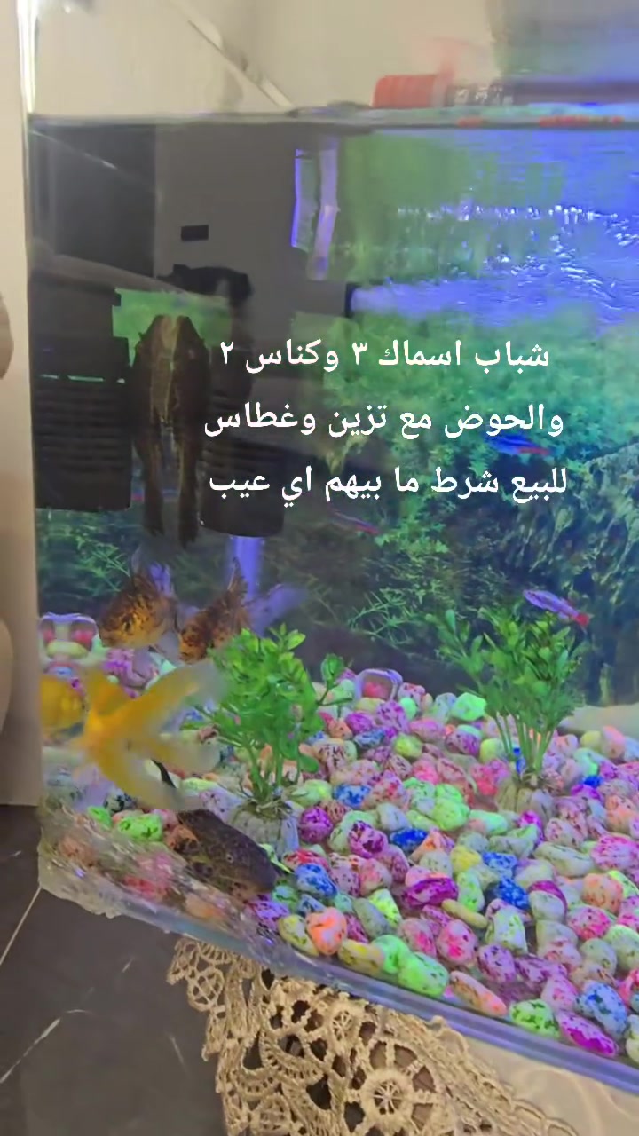 للأستفسار هذا رقمي ***********
