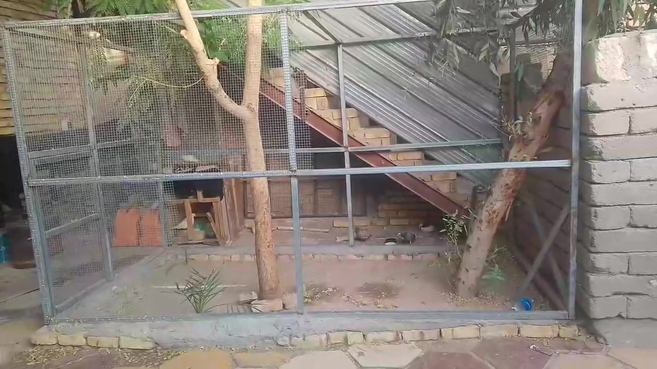 سلام عليكم  متاح محميه لبيع وشراي بيه خير ويدلل محميه نصبناه  وبطنه انريد نبيعه ***********
