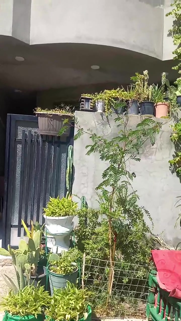 سلام عليكم بيت بل صناعه ١٠٠ متر طابق ونص السعر
الغزالية نهاية شارع المركز الصناعه توزيع جديد
***********
