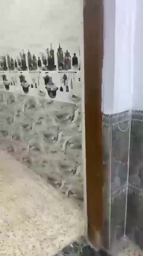 السلام عليكم شقه ارضيه 
للايجار متكونه من صاله وغرفه ومطبخ وملحقاته بحي الجهاد التواصل  واتساب ***********
