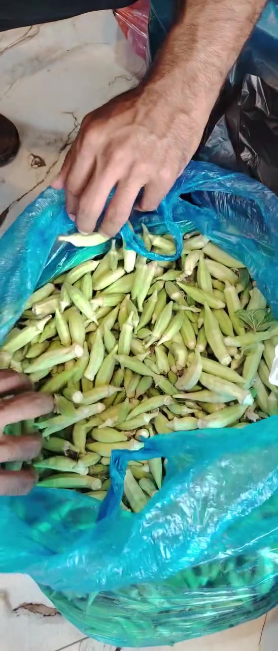 #ماكو_داعي_تطلع_من_بيتك_خلي_مسواكك_🍅🥬 _يوصل لبابك! 🚪💚
#التوصيل_يشمل_جميع_مناطق_السماوه_بسعر_رمزي_وبوقت_قياسي 🚚⏱

#عنواننا_السماوه_منطقة_٣٦_شارع_السيد✅🛒
‼️يمكنك التحقق من الأسئلة الشائعة لدى زبائننا في الخاص . 🤷🏻👇🏻
