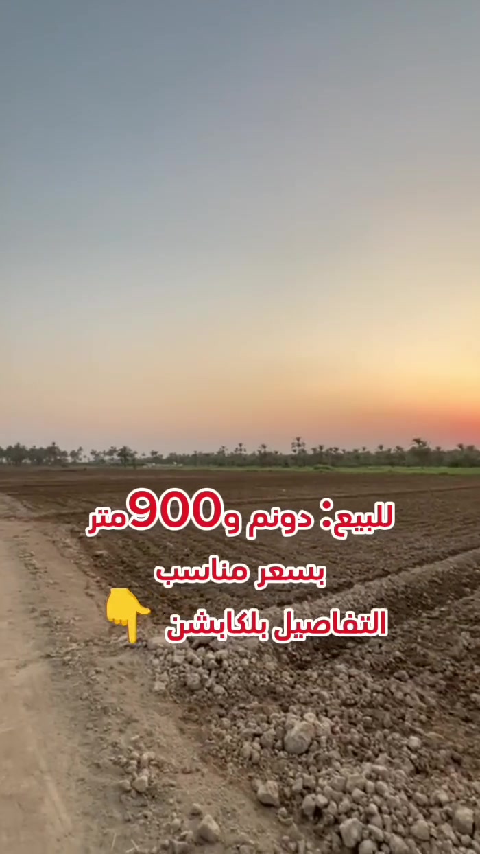 أرض للبيع - المساحة: دونم و900 متر
الموقع: [بغداد المدائن - الجعارة ]

المساحة الكلية: 3,400 متر مربع (دونم و900 متر)

السند / طابو زراعي 25 

التفاصيل: أرض ممتازة [واصلة ماء وكهرباء  داير مدايرك مزارع]

للتواصل والاستفسار: [***********]
