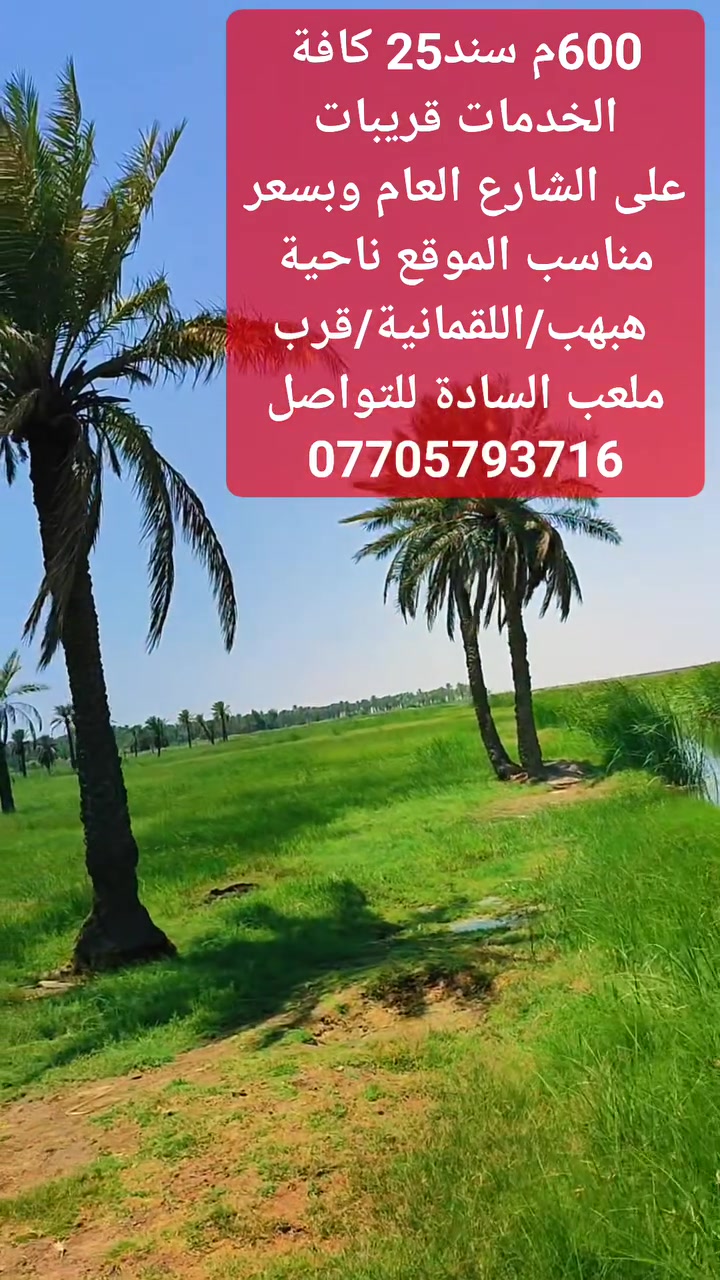 ٦٠٠م • سند ٢٥ • قرب ملعب السادة