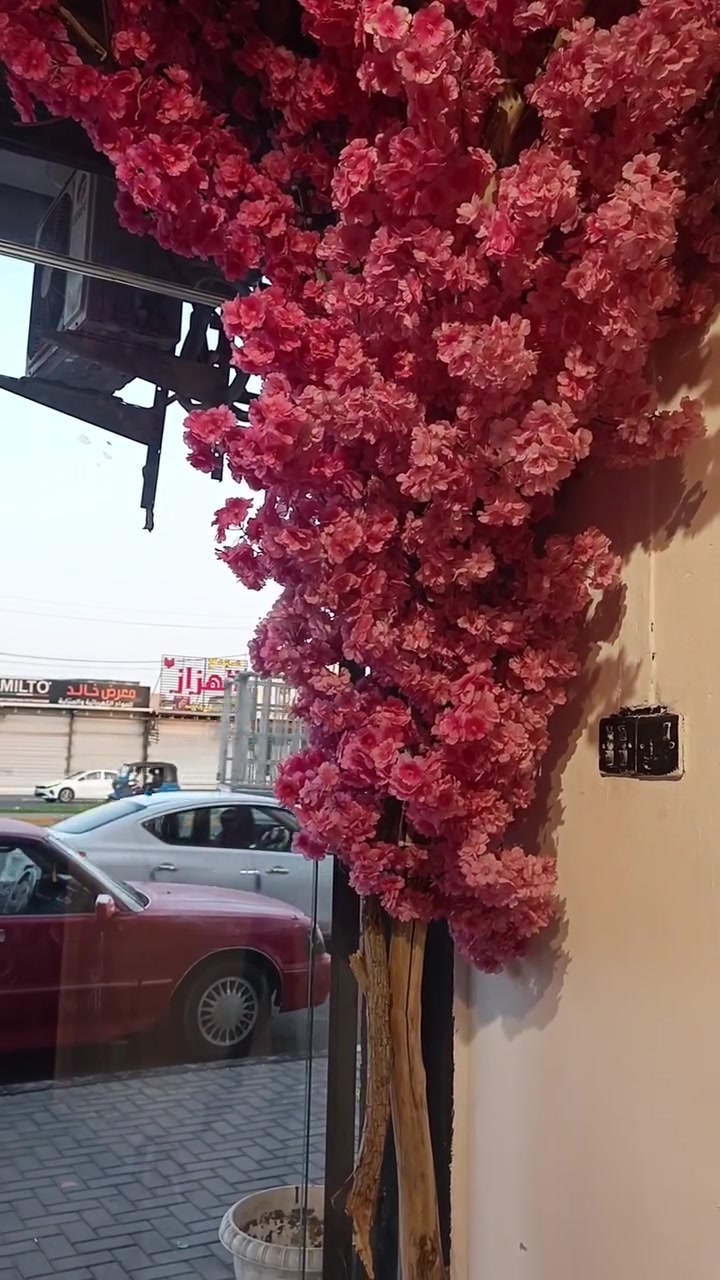 ارنب • موديل ١٩٩٥ • بصرة