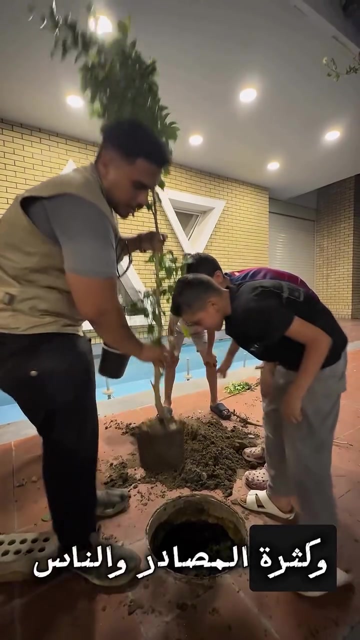 خليك من دوخه الحجي 
؟
السماد المناسب هو أساس التغذية الصحيحة للنبات 🌿💚

اختيار السماد يعتمد على نوع النبات ومرحلة نموه، لذلك لا تستخدم أي سماد بشكل عشوائي 👌

📌 إذا تريد تعرف السماد المناسب لنباتك، اكتب “سماد” بالتعليقات أو راسلنا 📩

🌿 مكتب النعمة الزراعي
أسمدة • مبيدات • أدوات زراعية • تنسيق حدائق 
#زراعة #نباتات #حدائق #تشجير #العراق
