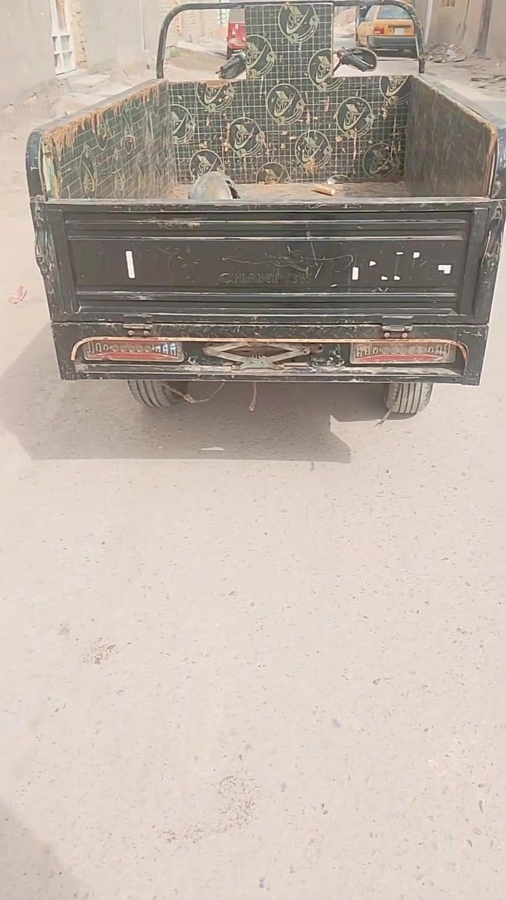 ستوته • موديل 23 • اوراق اصليه