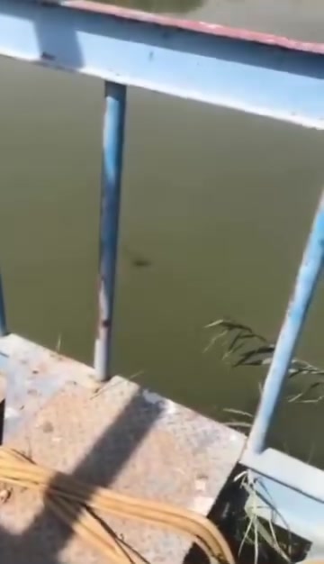 شاطيه الثرثار • ٥دونم • سند ٢٥