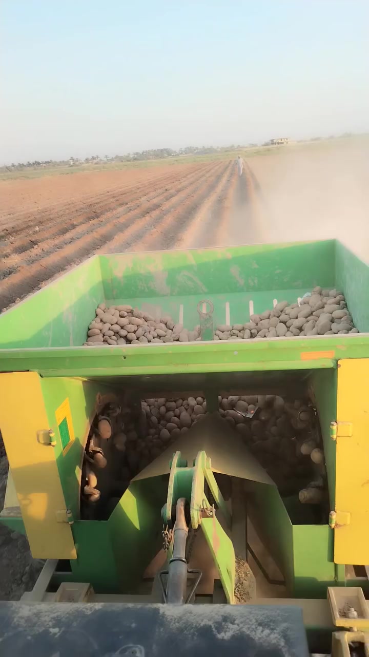 شاتولة بتيته ترهم جوه وترهم مدروان(دراو) للأيجار 
للاستفسار :-  ***********
