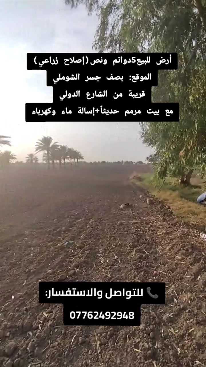 ٥ دوانم ونص • بصف جسر الشوملي • ماء وكهرباء