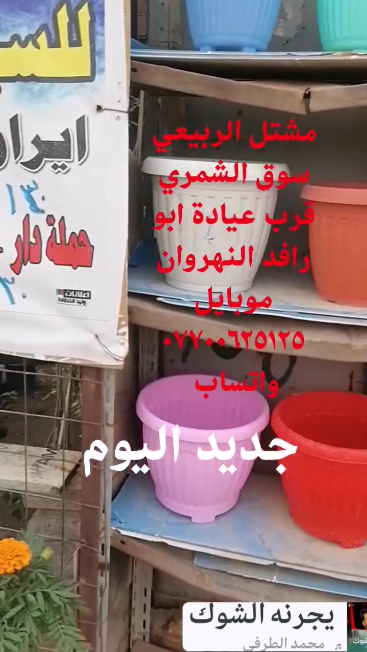 سوق الشمري • النهروان • ديكور حديقة