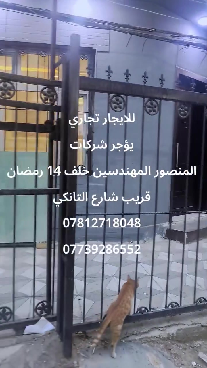 المنصور • خلف ١٤ رمضان • مكتب تجاري