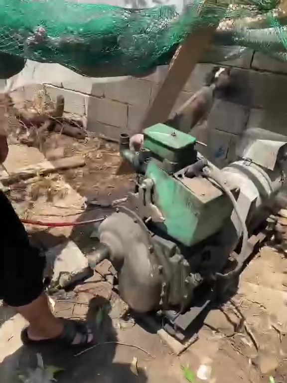 لل بيع مولده فول ومكفول شقاله خير منالله    وهاذ رقمي***********
