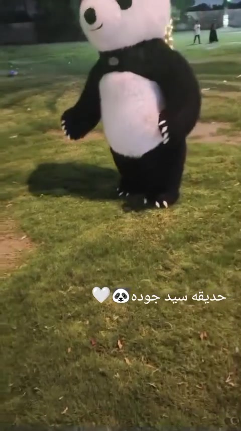 باندا • حفلات • حديقة سيد جودة