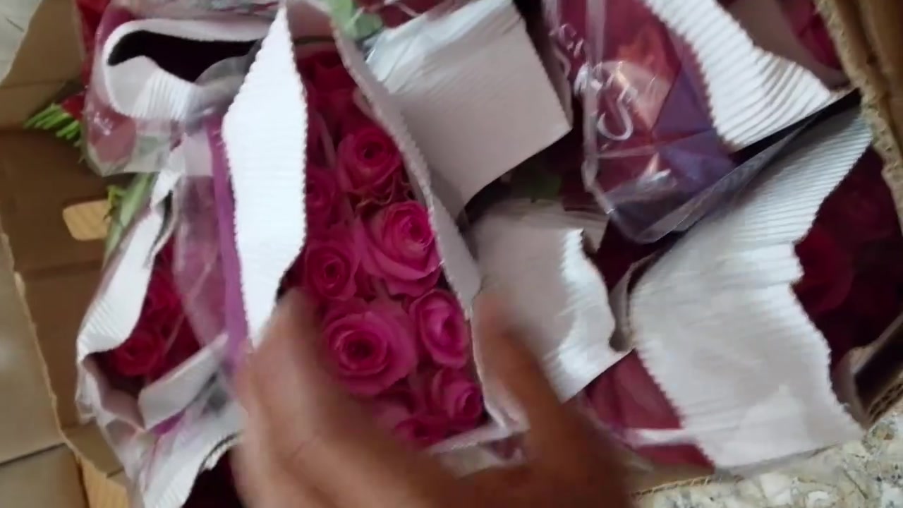 سلام عليكم ورد طبيعي الوحده ب 1000  اكو توصيل ‏‪***********‬‏
