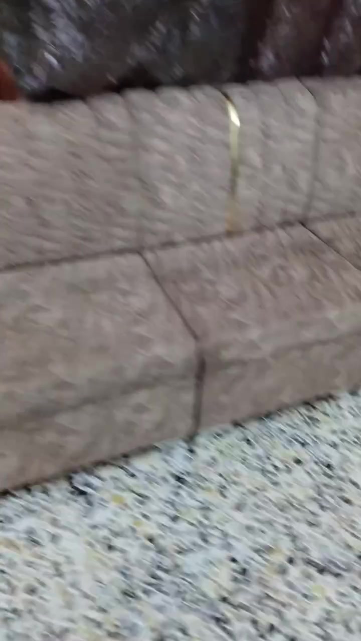 ديوان • ٧ مقاعد • زعفرانيه