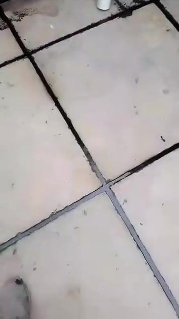 شغل سطوح • تزفيت • ماستك جديد