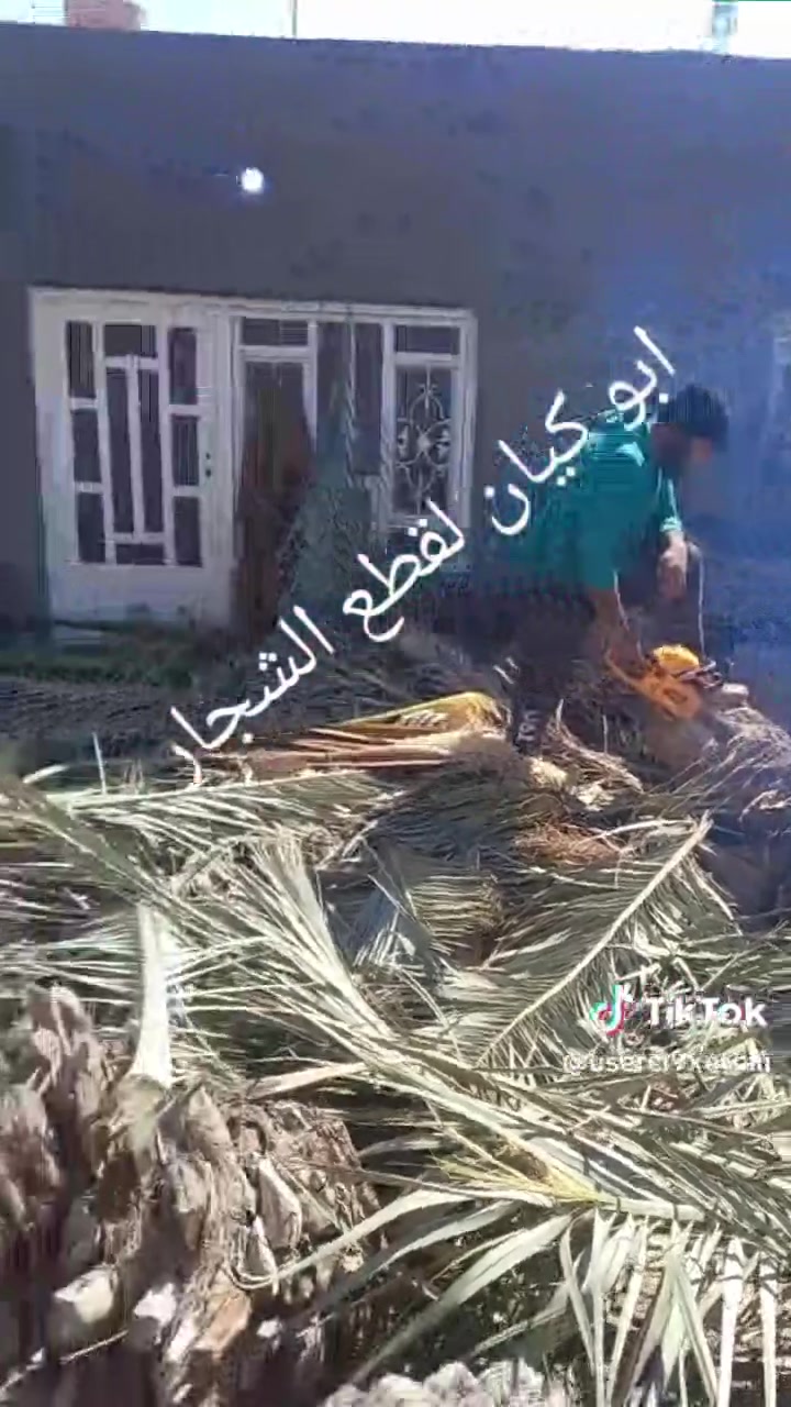 يا الله سلام عليكم مستعدين لتقطيع جميع الأشجار الكابرس شجر الاثل شجر قلم طوز وشجر السدر ونخيل التمر .... الرقم ***********
