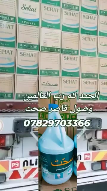 جمله فقط
