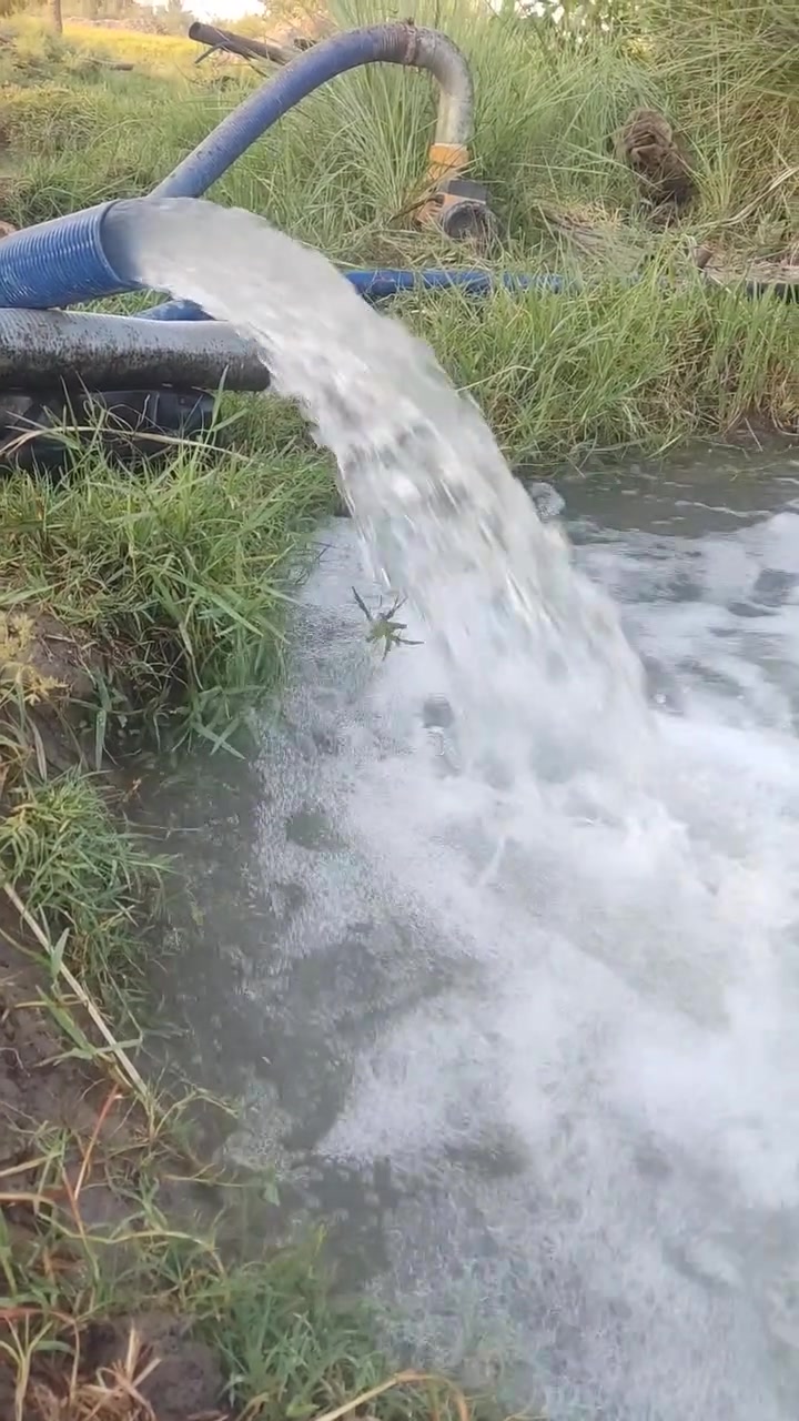 السلام عليكم للبيع غطاس ابو 2 صاروخي بالجيكي الدرجه الاولى ويا صونده اصليه طوله 20 متر +ماطور كهرباء ابو 3 ويا صونده اصليه 15 متر شرط على الفحص الشراي يتصل وبي خير ويدلل مكاني بابل الحمزه الغربي ***********
