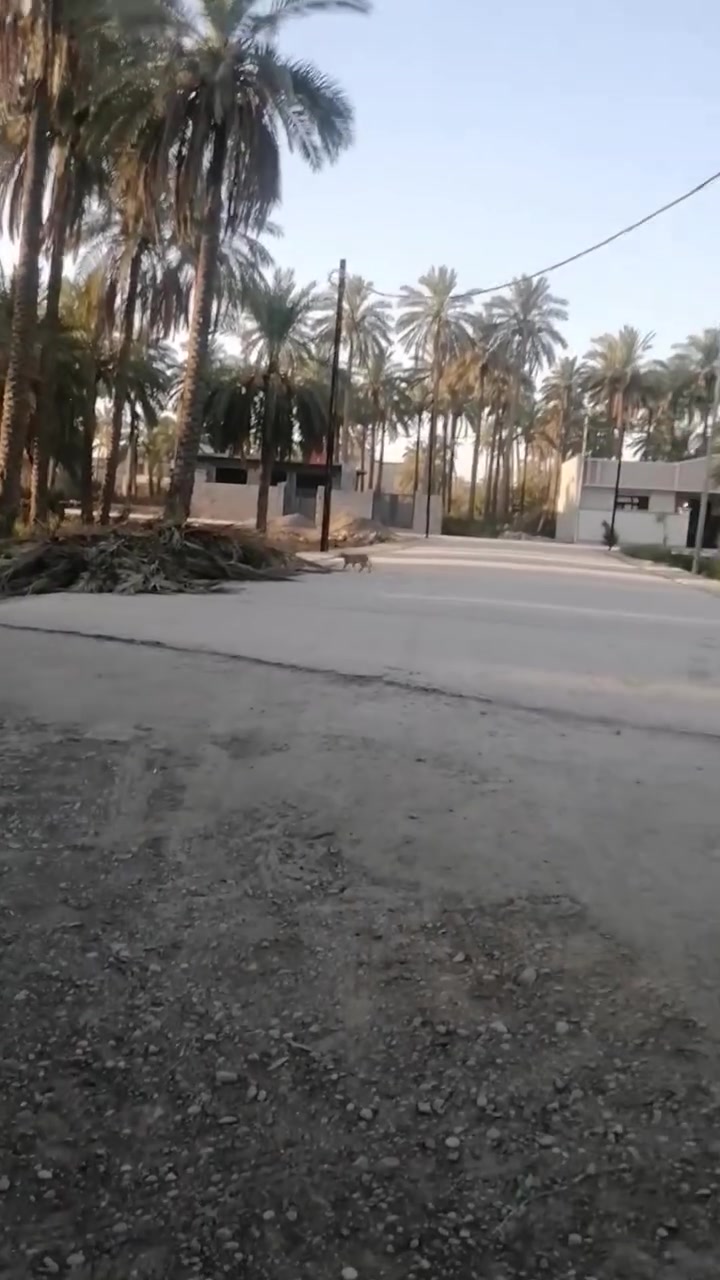 قطع اراظي سكنيه للبيع العدد٢٥قطعه بعقوبه جبينات والسوامره ٢ ***********
