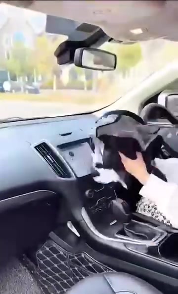 شمسية سياره • توصيل مجاني • ٥٠ قطعة