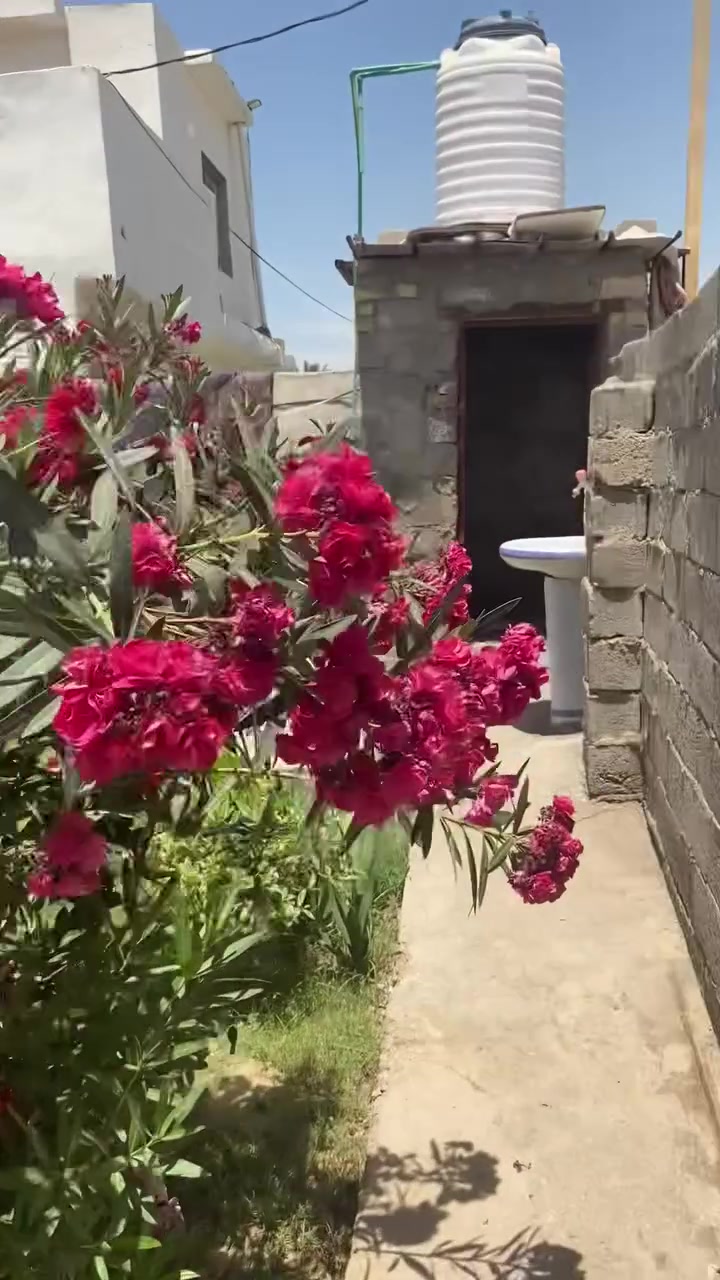 سلام عليكم بيت البيع   قرب. مدرست السالم الابتداءيه. البيت 🏠 سند ٢٥. المساحه ٢٥٠  النزال ١٠ متوفر في البيت ماء أسألة  وخط مولد وكهرباء  تحويل البيت. فتح بيان عله طابو المحمودية  تحول بسم المشتري. الاستفسار عله الأرقام ***********- ***********
