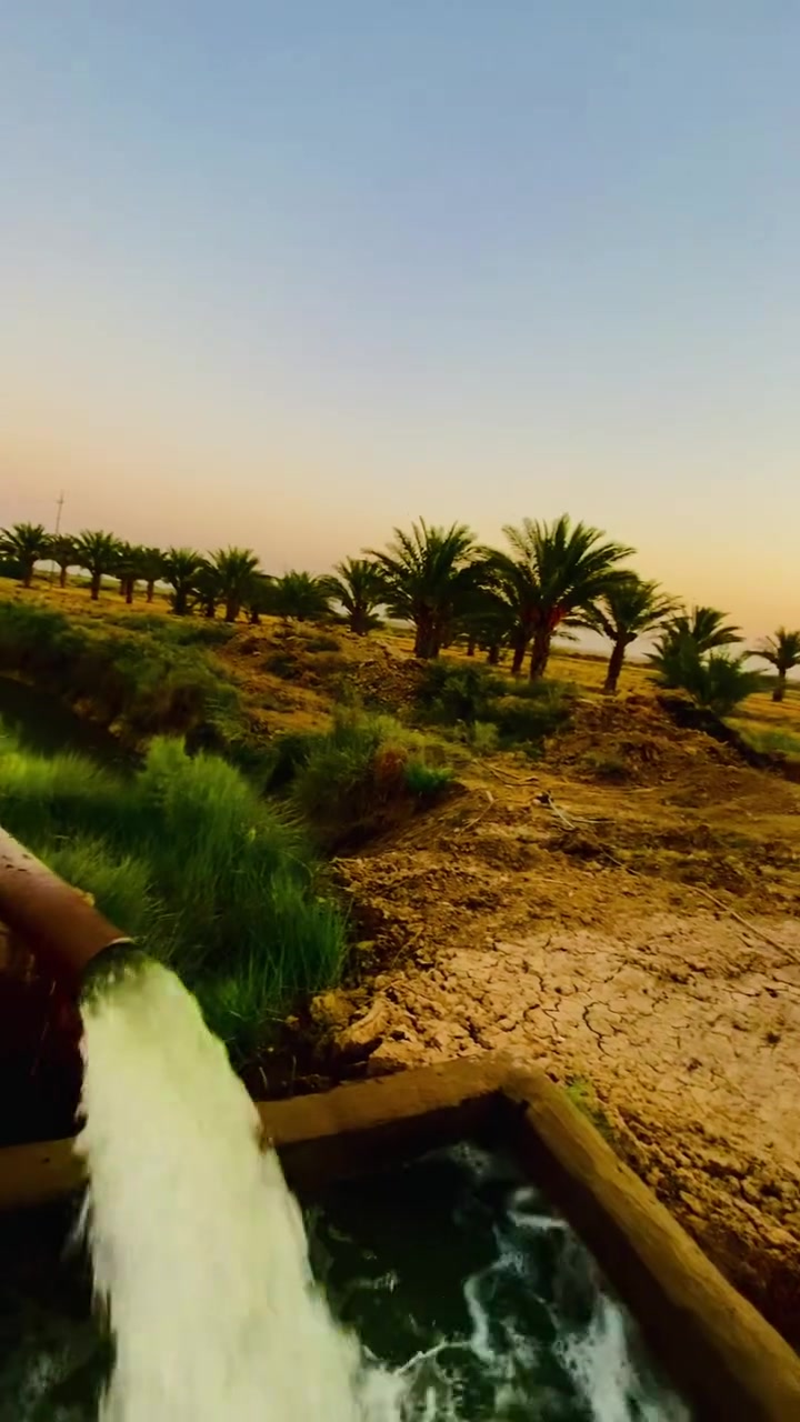 بستان للبيع  رطب مالته درجه أوله مع ارض زراعيه درجه أوله مي موجود شتاء مع صيف كهرباء بس اله البستان ٦ دونم للاستفسار ***********
