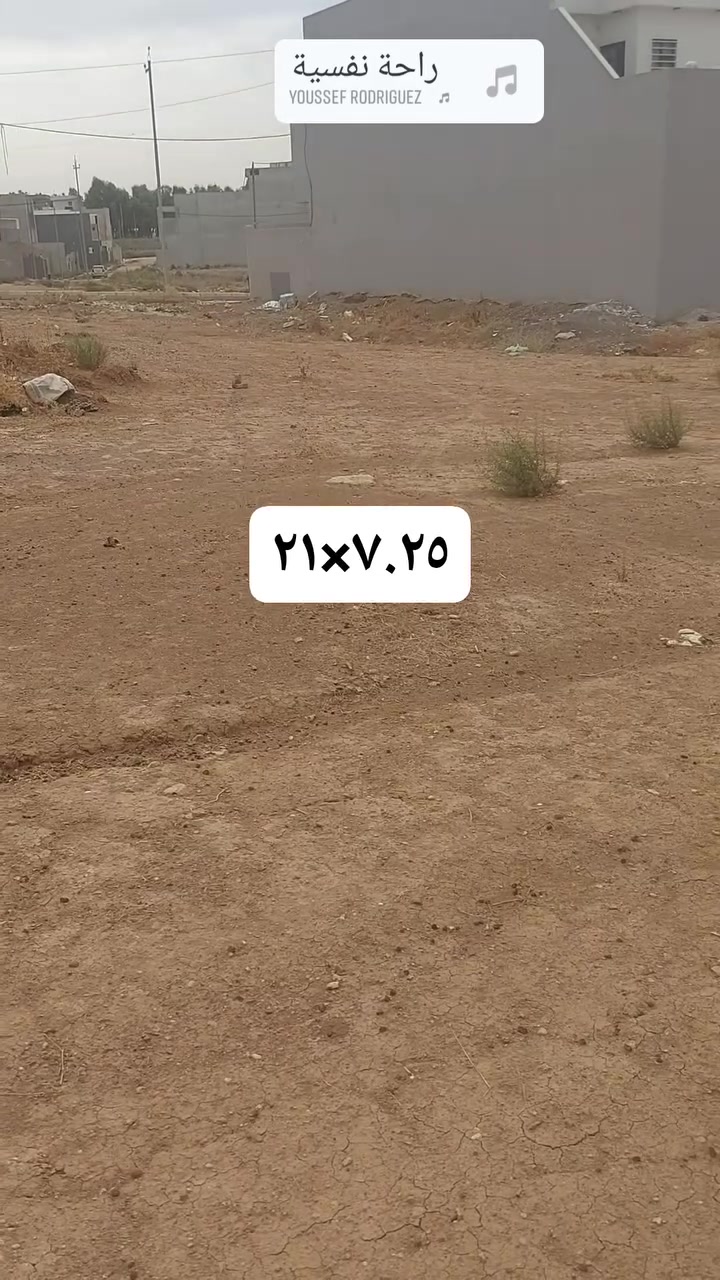 التعليم الثانية • ١٥٢٫٥م • سند طابو