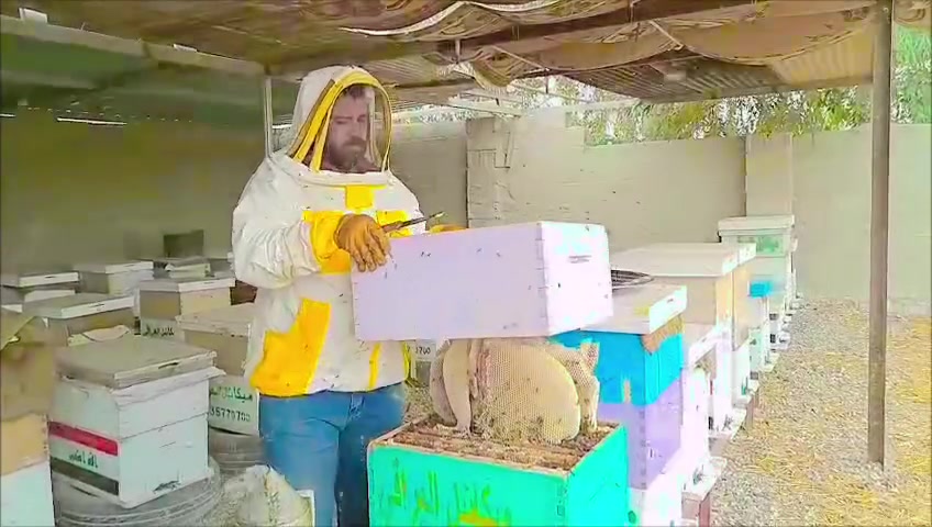 التخفيض الأقوى لهذا الموسم 

عسل مع حبوب اللقاح 
عسل كوكتيل 
عسل كالبتوس 
عسل شوكيات 

السعر السابق مع التوصيل 130

#الان تخفيضات ب 115

والتوصيل مجانا لكل محافظات العراق 🇮🇶 

رقمك وعنوانك واتساب وسارع بالحجز 

***********

قناة التلكرام لمعرفة فوائد العسل الطبيعي والعروض 
https://t.me/Abdqqi
