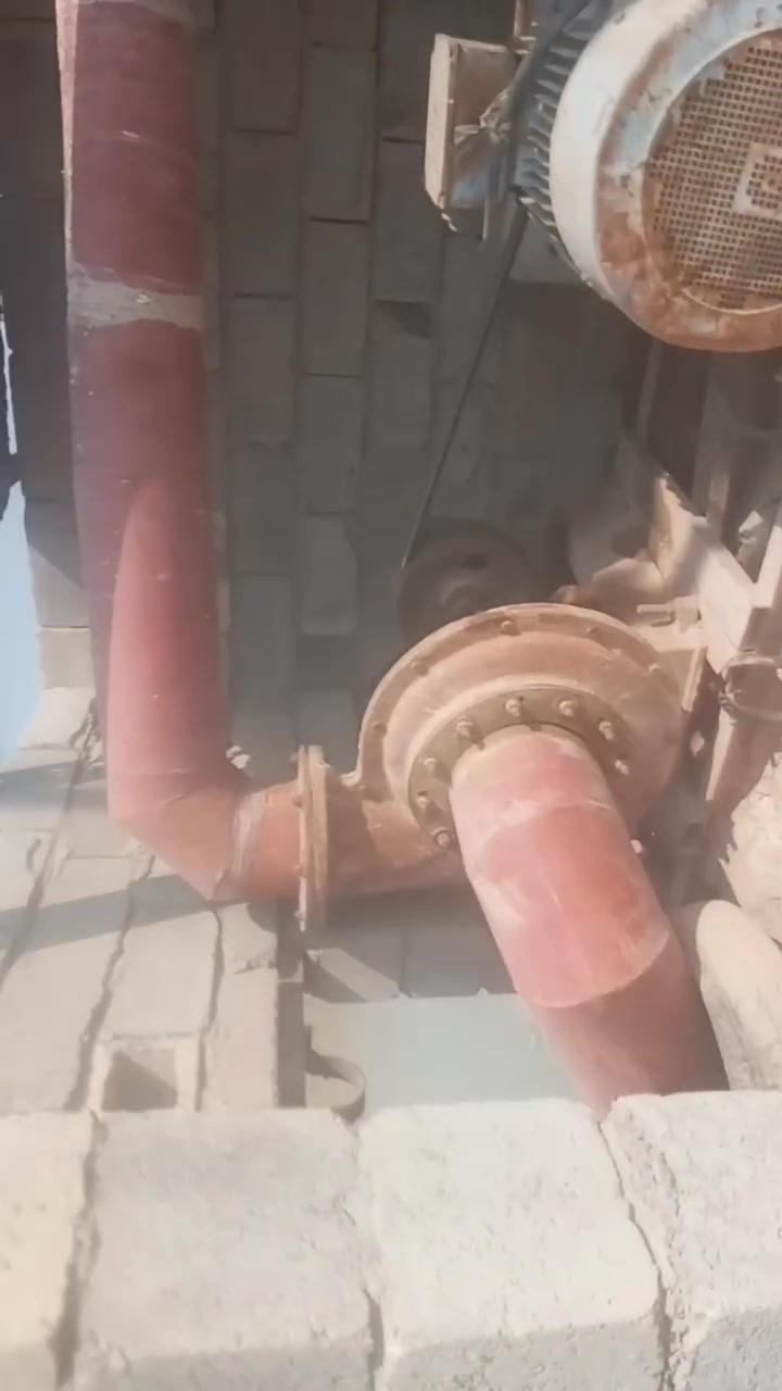 ماطور عاطل • خنيزيره • المجر الكبير