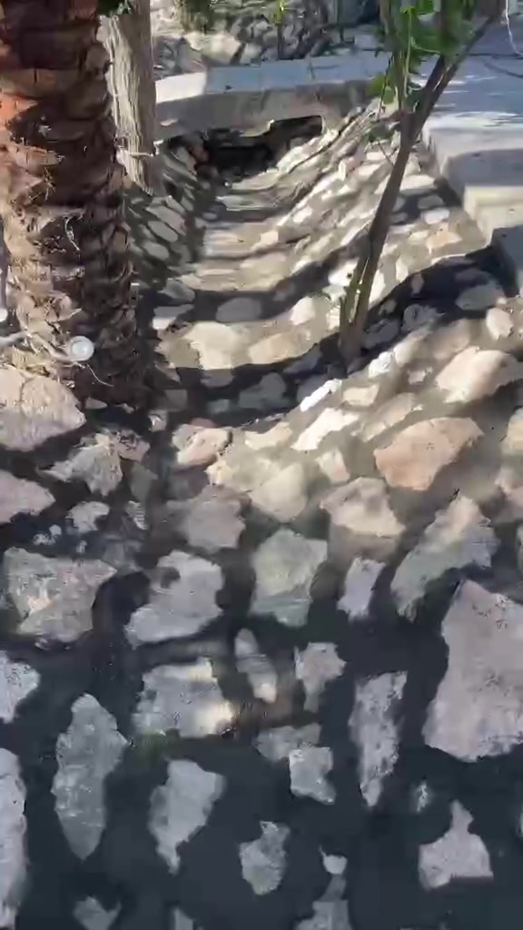 سلام عليكم اي واحد عنده شغل حجر حدايق شلالات ترتيب حدايق
***********
